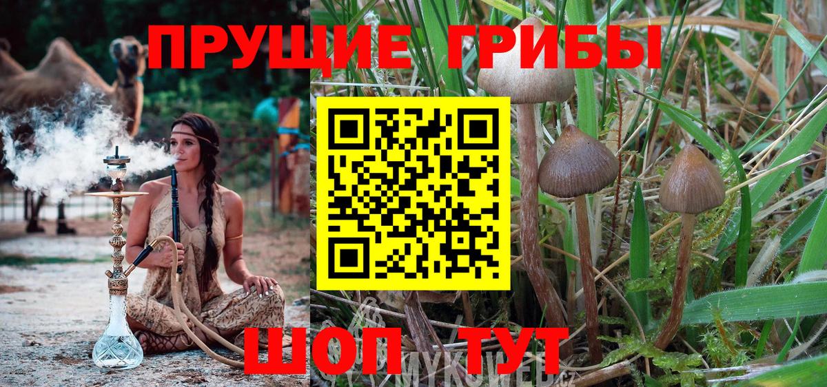 Галлюциногенные грибы ЛСД  что такое наркотик  Фролово  Галлюциногенные грибы Cubensis  Вход с VPN 